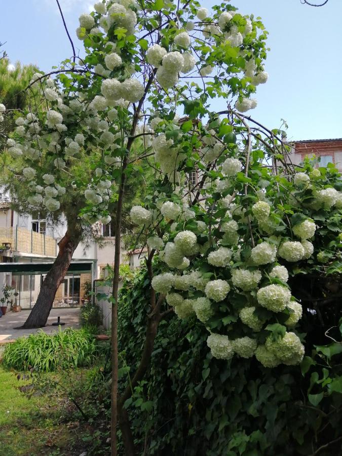 Chambre D'Hotes Pmr Hildegarde 穆瓦萨克 外观 照片